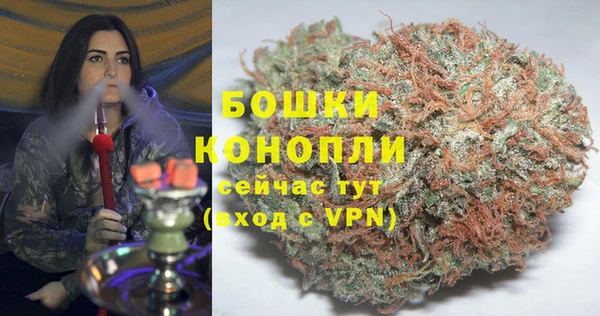 бошки Алексин