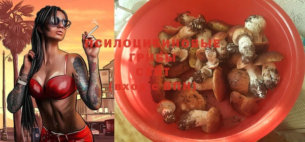 спайс Алзамай