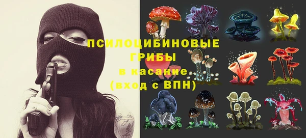 индика Алексеевка